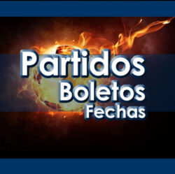 Partidos